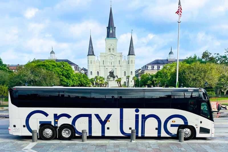 Billet La Nouvelle-Orléans : visite de la ville et croisière jazz en bateau à vapeur pendant la journée