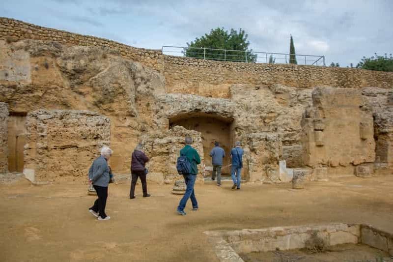 Billet Visite de Carmona et de la nécropole depuis Séville