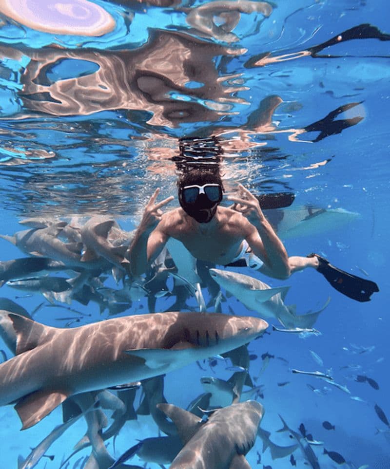 Billet Maafushi : requins-nourrices, raies pastenagues, bancs de sable et dauphins