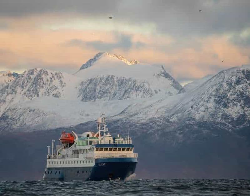 Billet Tromsø : croisière de 24 heures pour l'observation des aurores boréales et des baleines