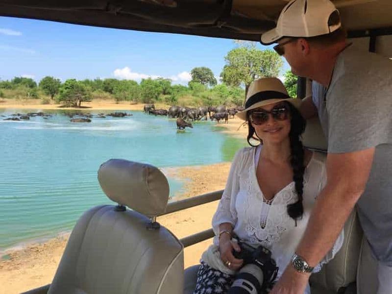 Billet Udawalawe : Safari dans le parc national et visite de la maison de transit des éléphants