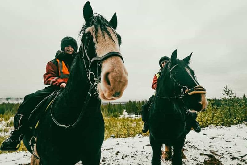 Billet Rovaniemi : randonnée à cheval dans l'Arctique