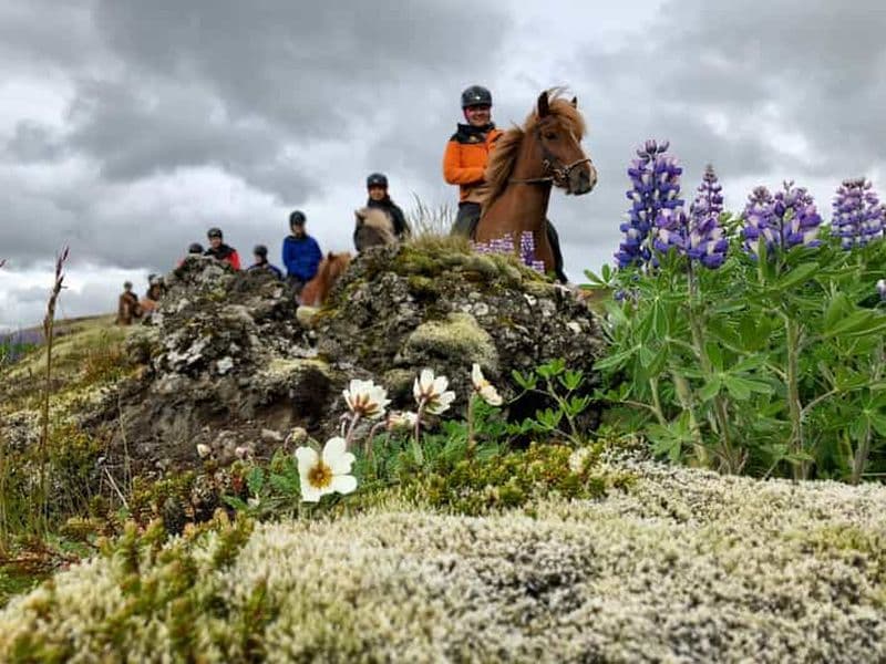 Billet Reykjavik : Visite en petit groupe à cheval sur le volcan avec prise en charge