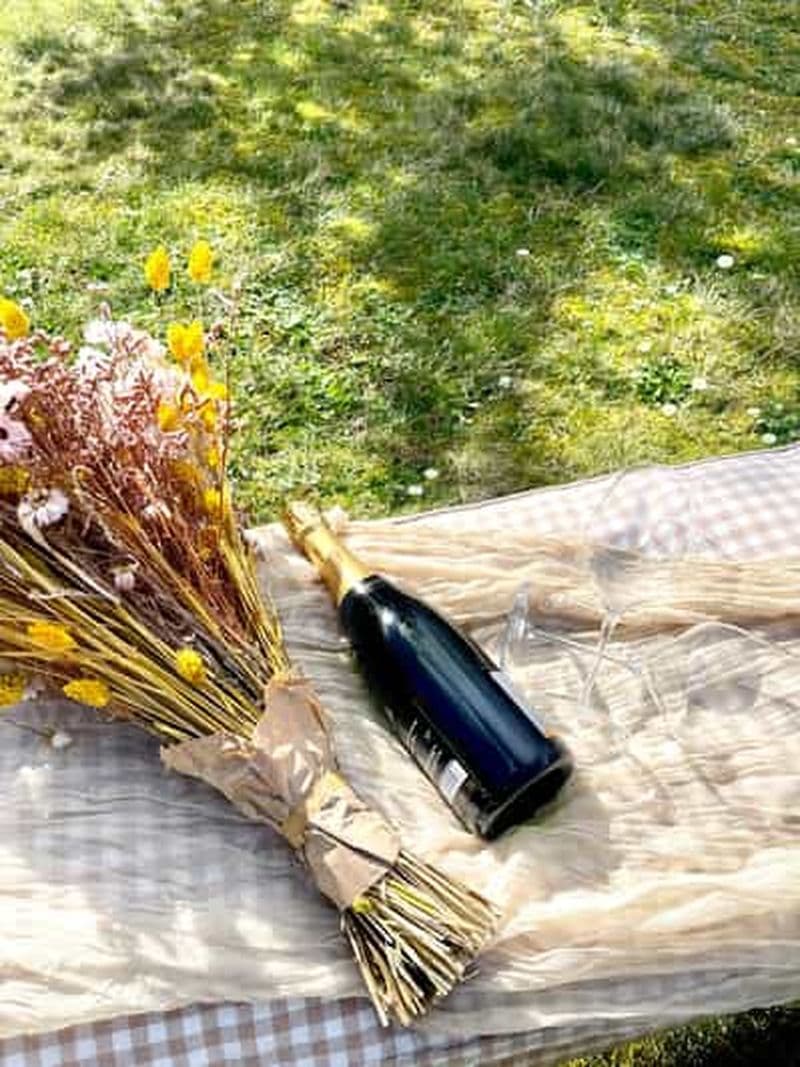Billet Pique-nique et dégustation de champagne dans les vignobles