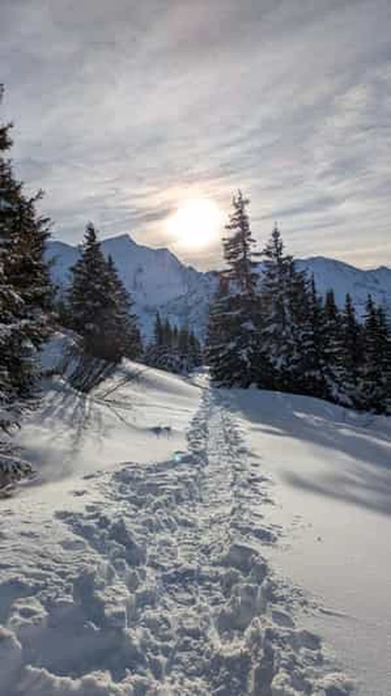 Billet Chamonix : randonnée guidée en raquettes avec équipement