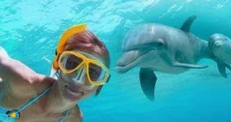 Billet Zanzibar : plongée en apnée sur l'atoll de Mnemba et visite du village de Nungwi