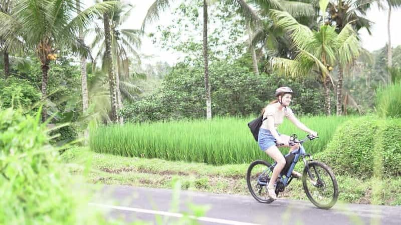 Billet E-Bike : Ubud Rice Terrace et visite d'un temple local à vélo