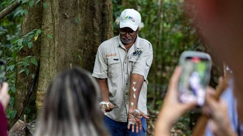Billet Cairns : Visite de la forêt tropicale de Daintree et des gorges de Mossman