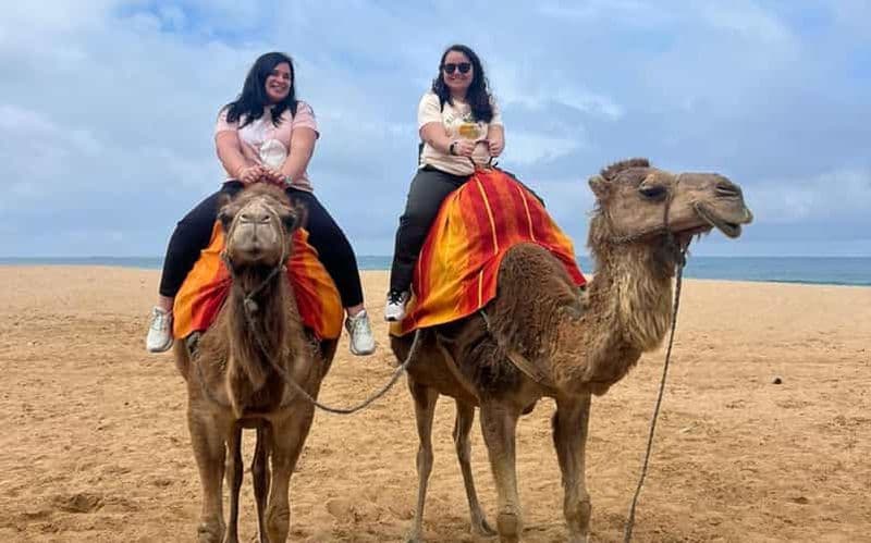 Billet Visite privée de Tanger Prise en charge à partir du bateau de croisière Tout compris