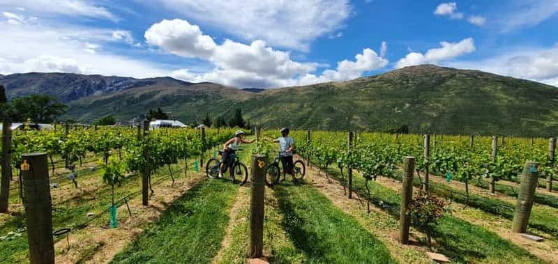 Billet Queenstown : Visite guidée en E-Bike avec visites et dégustations de vignobles