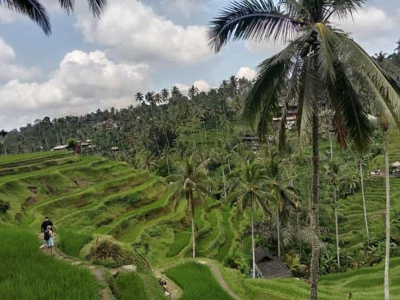 Billet Ubud Best tour avec un chauffeur privé