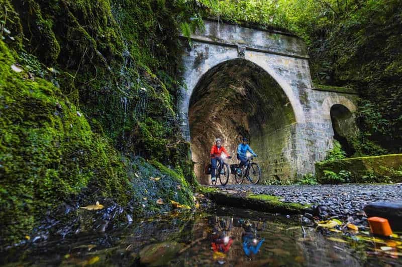 Billet Remutaka Rail Trail eBike Excursion à terre pour les bateaux de croisière