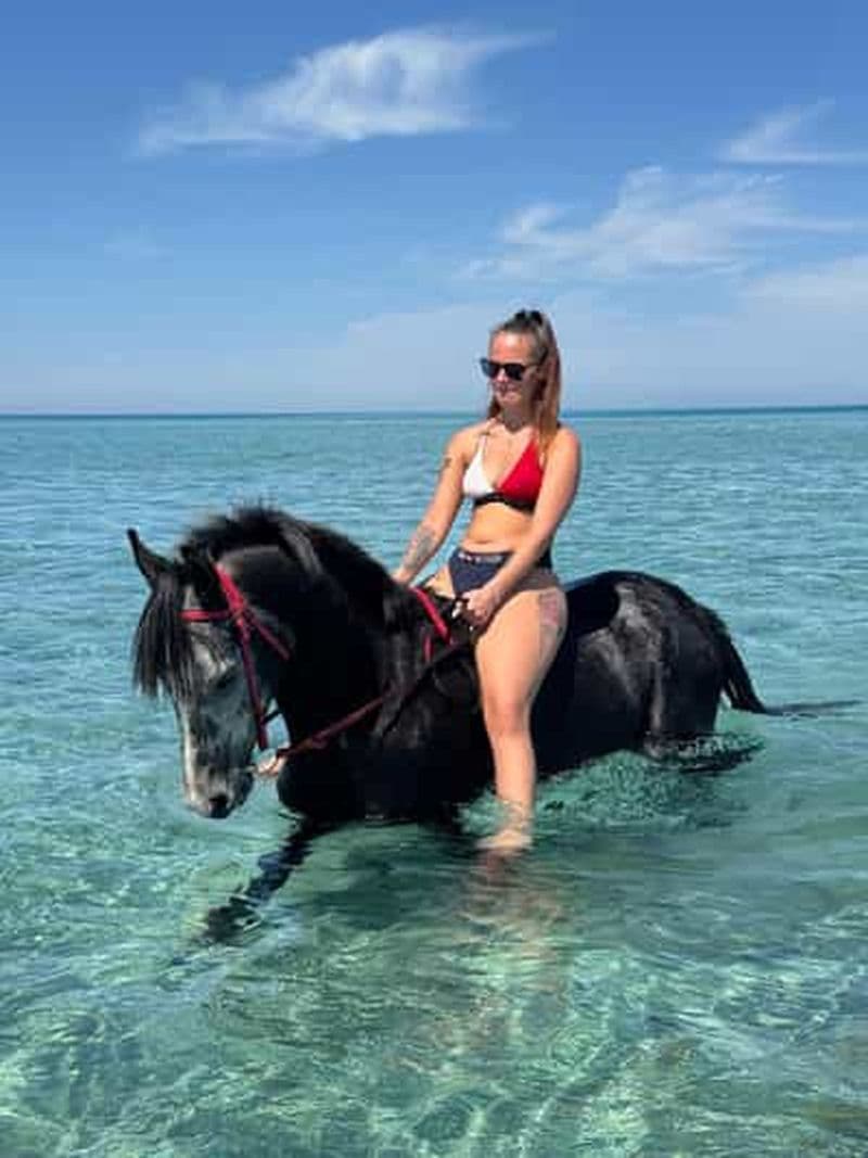 Billet Hurghada : aventure à cheval dans le désert et sur la plage