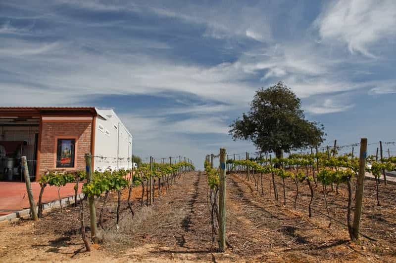 Billet L'expérience du monde du vin