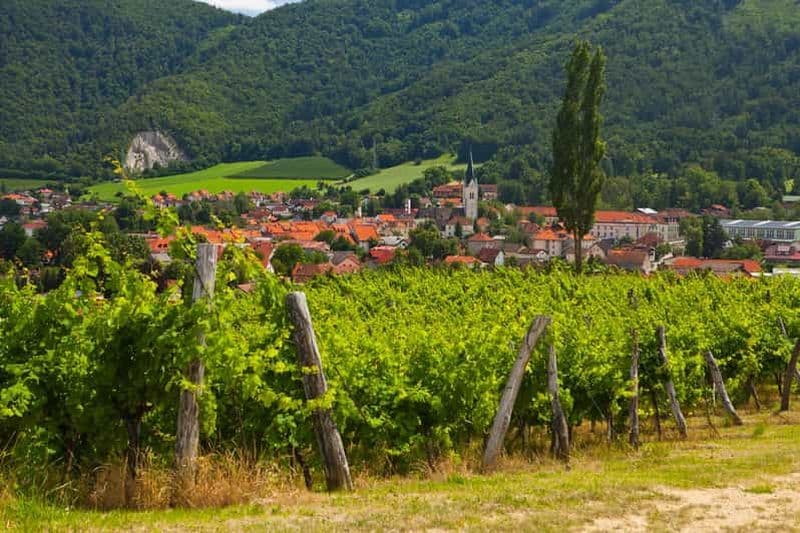 Billet Circuit à Maribor et en Styrie avec dégustation de vins