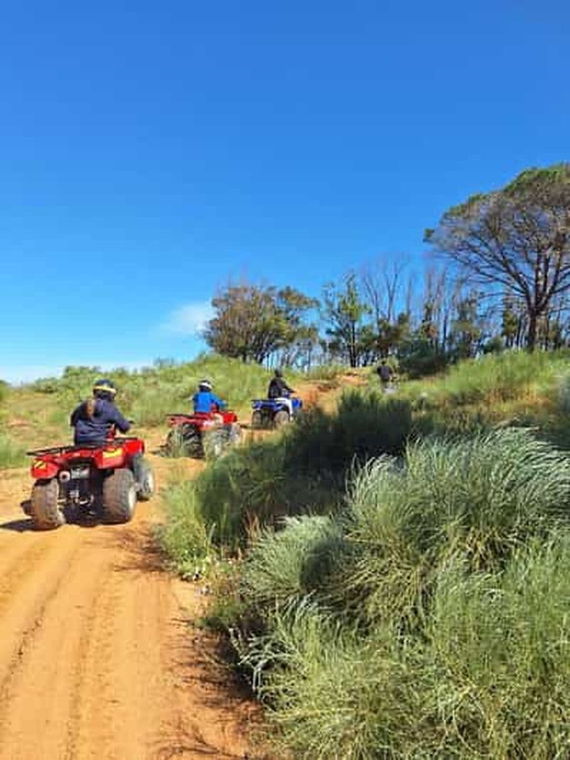 Billet Hammamet: Sortie en Quad à la montagne avec goûter d’huile d’olive et pain