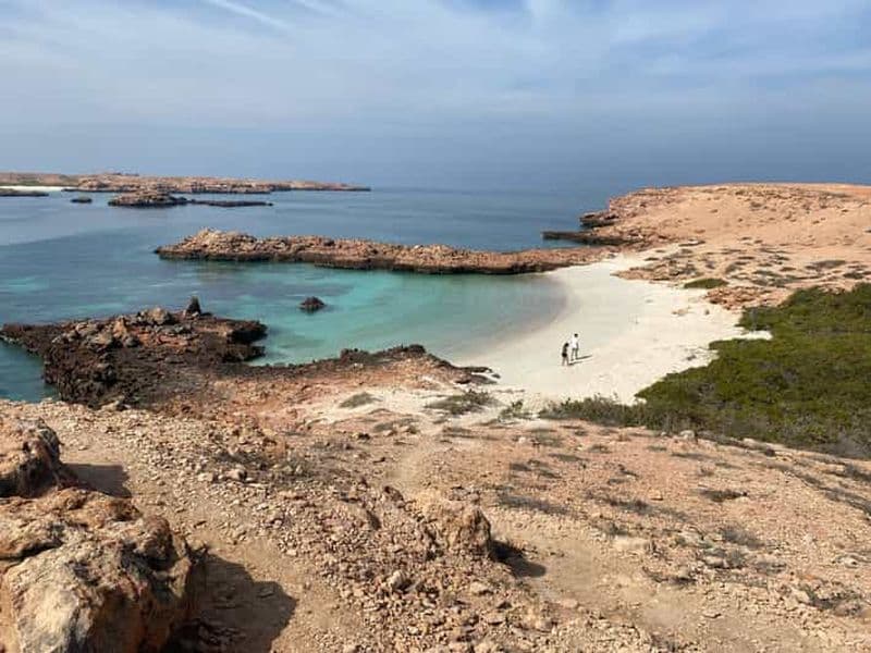 Billet Mascate, Oman : aventure de plongée avec tuba sur l'île de Daymaniyat