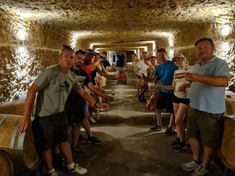 Billet Amboise : visite privée à vélo électrique avec billet pour le Clos Lucé