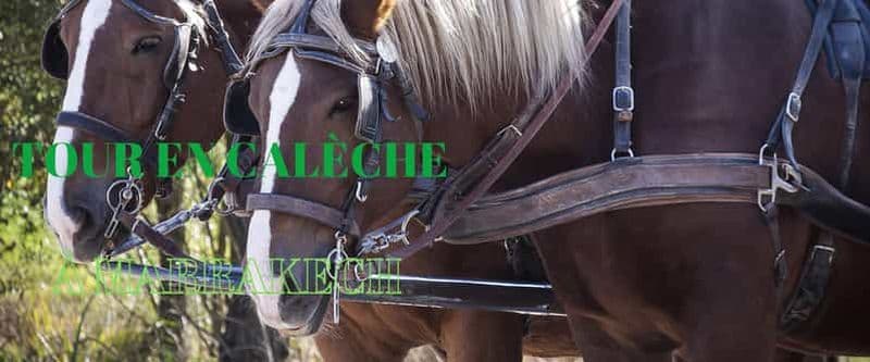 Billet Marrakech : Promenade en calèche d'une heure