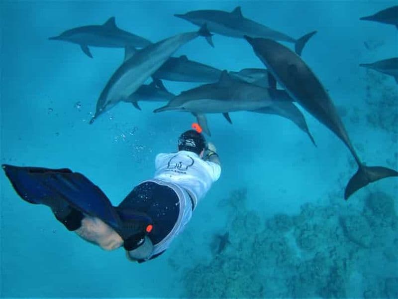 Billet Hurghada : hors-bord, dauphins, snorkeling et 2 îles