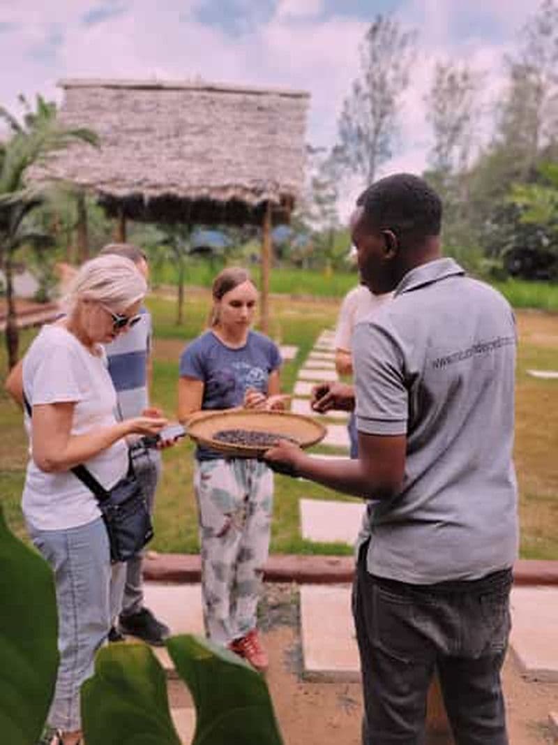 Billet Chute d'eau d'Arusha, visite à pied du village et/ou visite du café