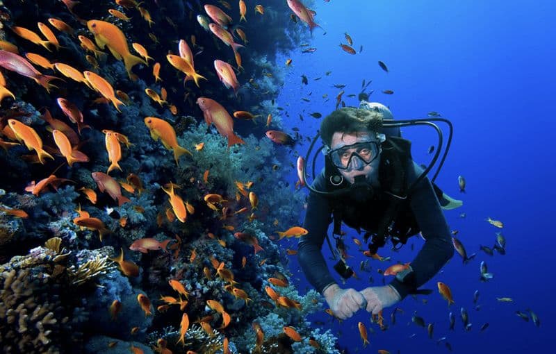 Billet Plongée sous-marine à Keyhole Pinnacle (Sainte-Lucie)