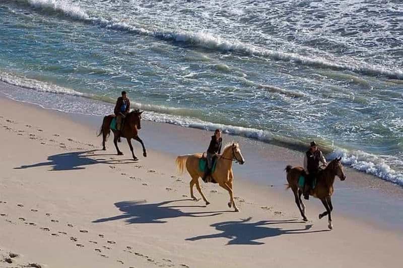Billet Puerto Plata : 2 heures de randonnée à cheval sur la plage