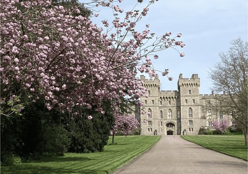 Billet Au départ de Londres : excursion d'une demi-journée à Windsor avec billets pour le château