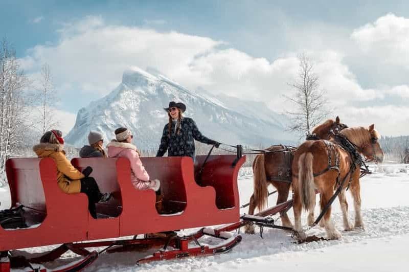Billet Banff : Promenade en traîneau tiré par des chevaux pour les familles