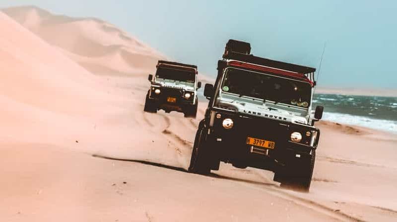 Billet Walvis Bay : Croisière pour les dauphins, lacs roses et promenade en 4x4 dans les dunes