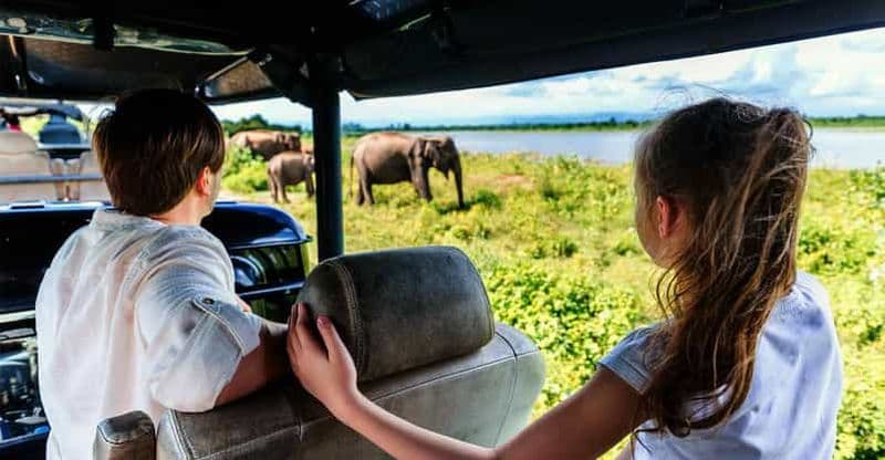 Billet Udawalawe : Safari dans le parc national et visite de la maison de transit des éléphants