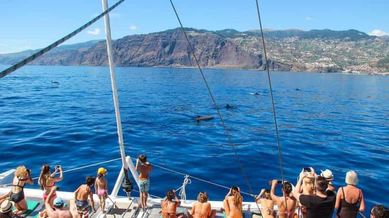 Billet Funchal : excursion en catamaran pour observer les dauphins et les baleines