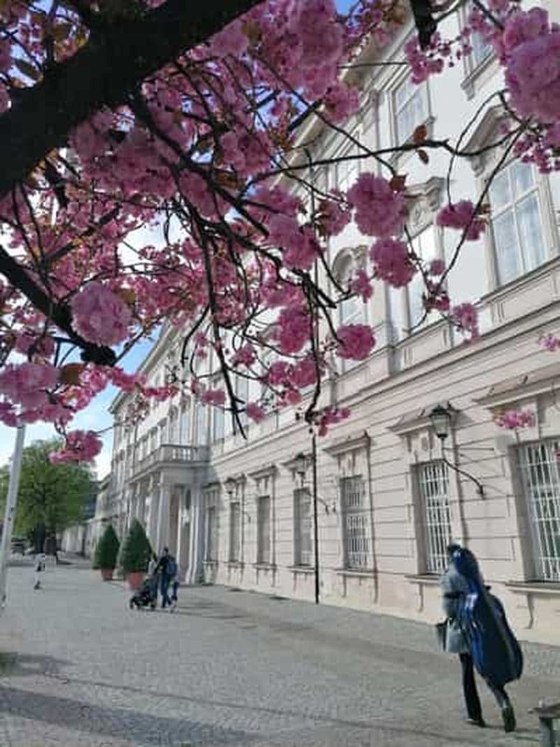 Billet Salzbourg : Concert de musique classique au Mirabell