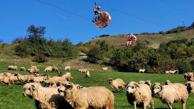 Billet Cluj : Excursion d'une journée pour des activités de plein air avec tyrolienne et randonnée