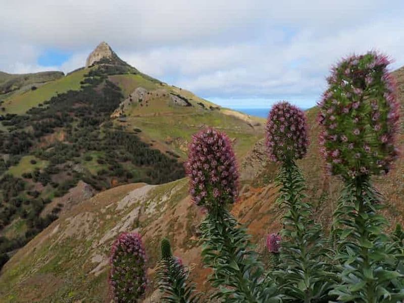 Billet Porto Santo : randonnée à Terra Chã et Pico Branco