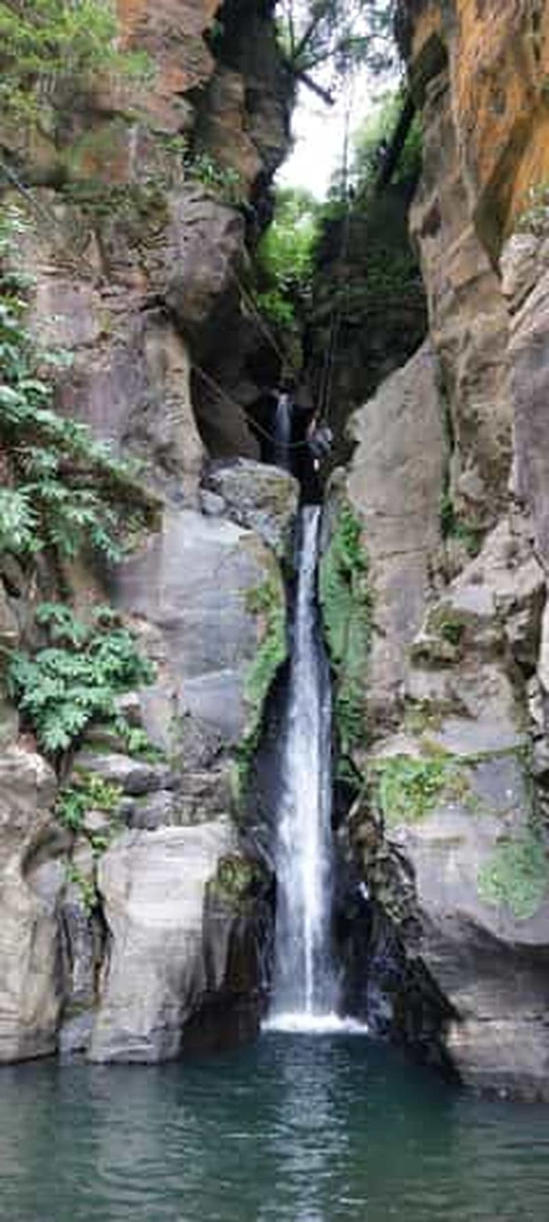Billet Visite d'une demi-journée en 4X4 à Lagoa do Fogo et ginothèque