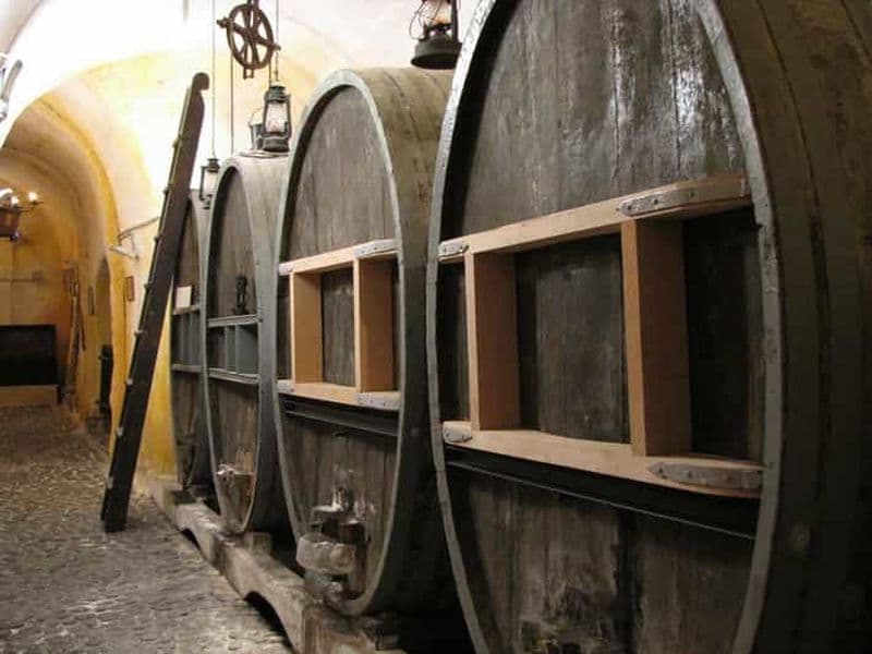 Billet Vothonas : Billet pour le musée du vin avec dégustations et audioguide