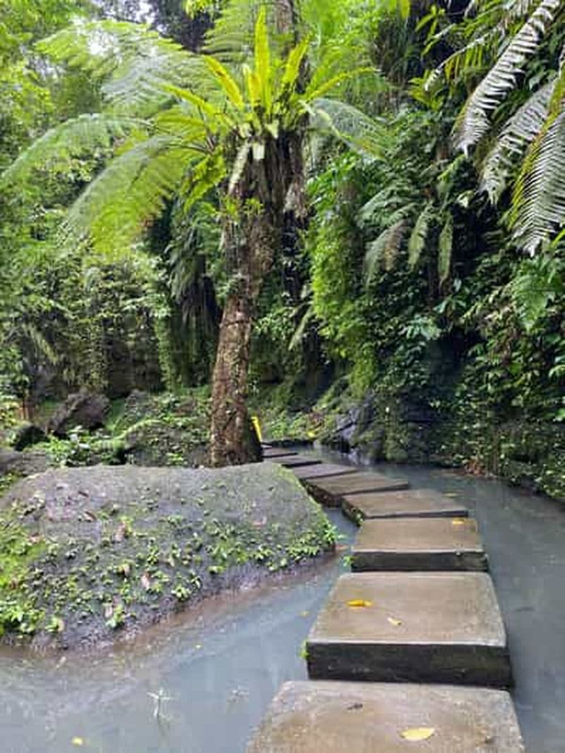 Billet Ubud : Rizière, forêt de singes, temple et cascade