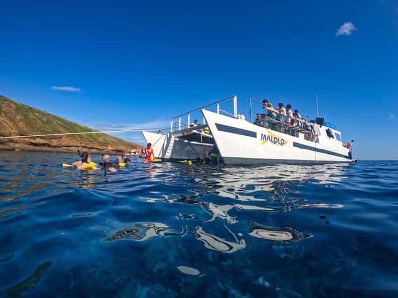 Billet Sud de Maui : Plongée avec masque et tuba dans les jardins de corail ou le cratère de Molokini
