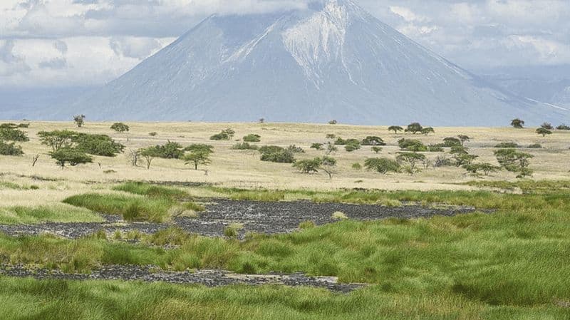 Billet Arusha : circuit de 3 jours au parc national de Tarangire et au lac Natron