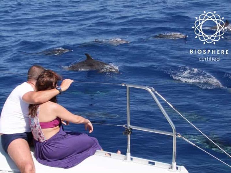 Billet Funchal : Cabo Girão, dégustation de vins et observation des dauphins