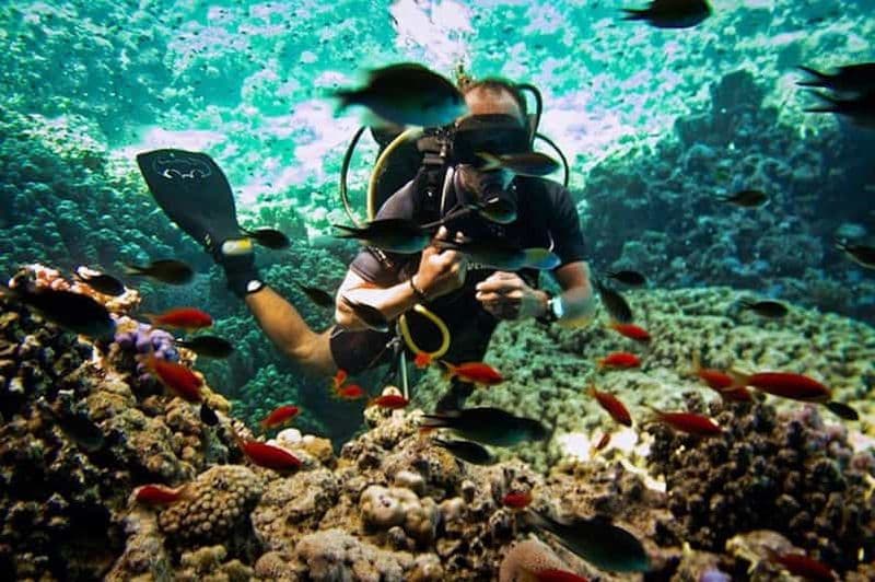 Billet Sharm El Sheikh : Ras Mohamed & White Island Snorkel ou plongée