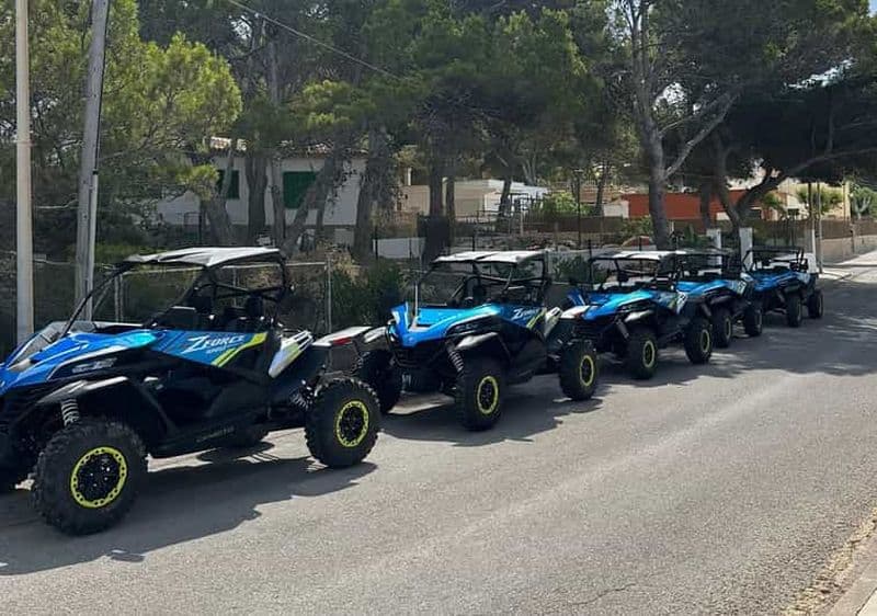 Billet Paguera : 2 heures d'excursion en buggy