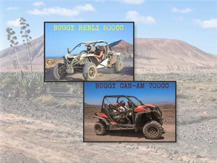 Billet Fuerteventura : Excursion en buggy des dunes dans le nord de Fuerteventura