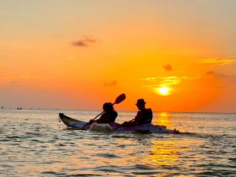 Billet Holbox : Excursion en kayak au coucher du soleil dans la mangrove
