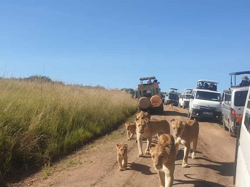 Billet Depuis Nairobi : safari de 3 jours et 2 nuits à Masai Mara