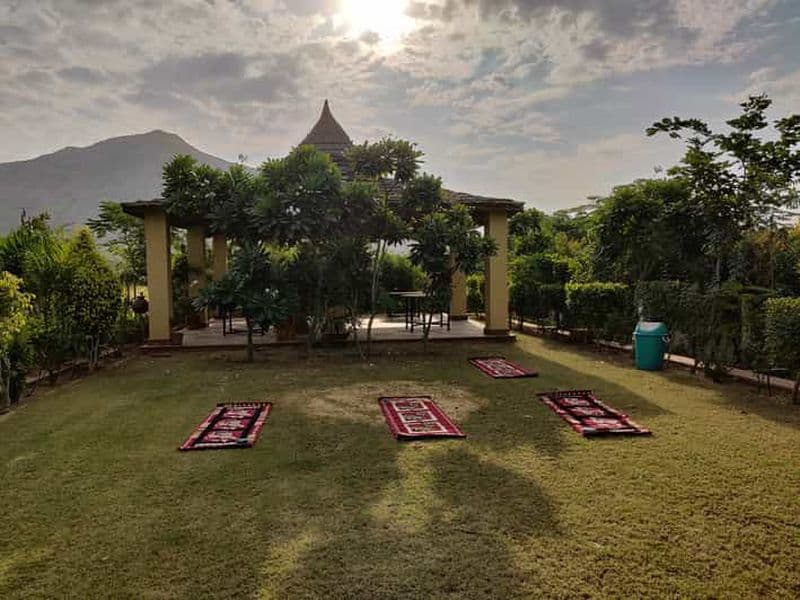 Billet Cours de yoga à Jaipur