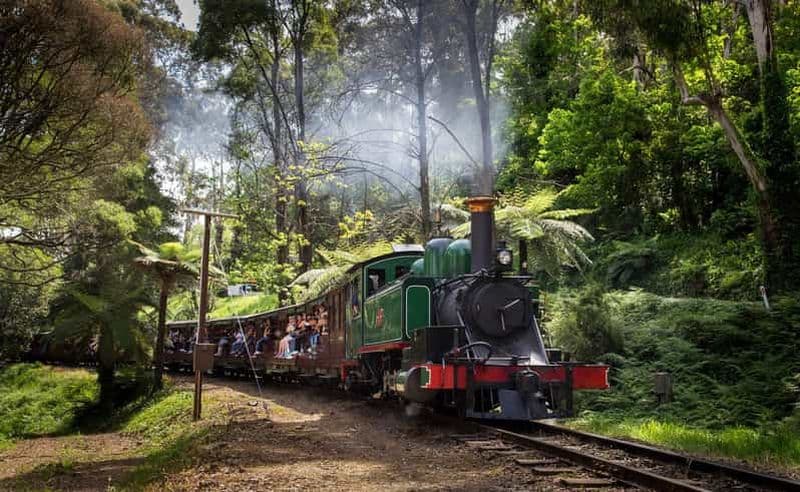 Billet Melbourne : Visite de la parade des pingouins et promenade en train avec Puffing Billy