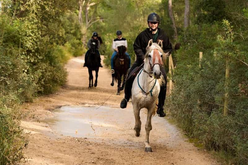 Billet Majorque : Activité avec des chevaux, Antique Mallorca