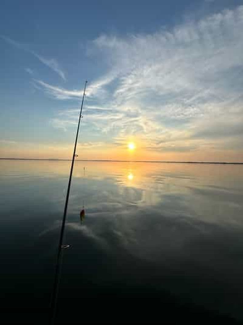 Billet Delta du Danube : Location d'un bateau pour une journée entière d'aventure de pêche